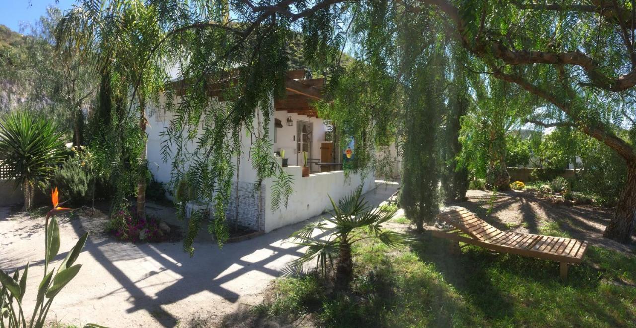 Casalado * El Saltador Bajo